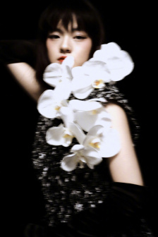 唐诡3之长安免费观看